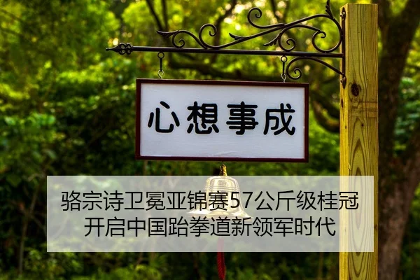 luo-zong-shi-wei-mian-ya-jin-sai-gong-jin-ji-gui-guan-kai-qi-zhong-guo-tai-quan-dao-xin-ling-jun-shi-dai-2-903.jpg